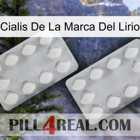 Lily Brand Cialis 17.jpg